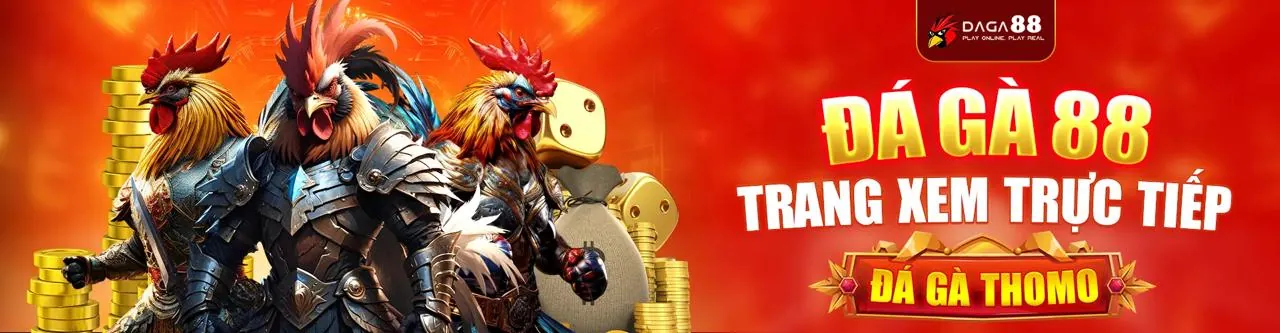 Tổng quan các môn thể thao đa dạng tại kuwin apk