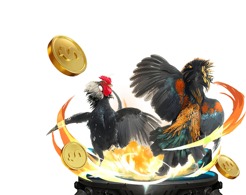 Hướng dẫn Trò Chơi Slot kuwin apk